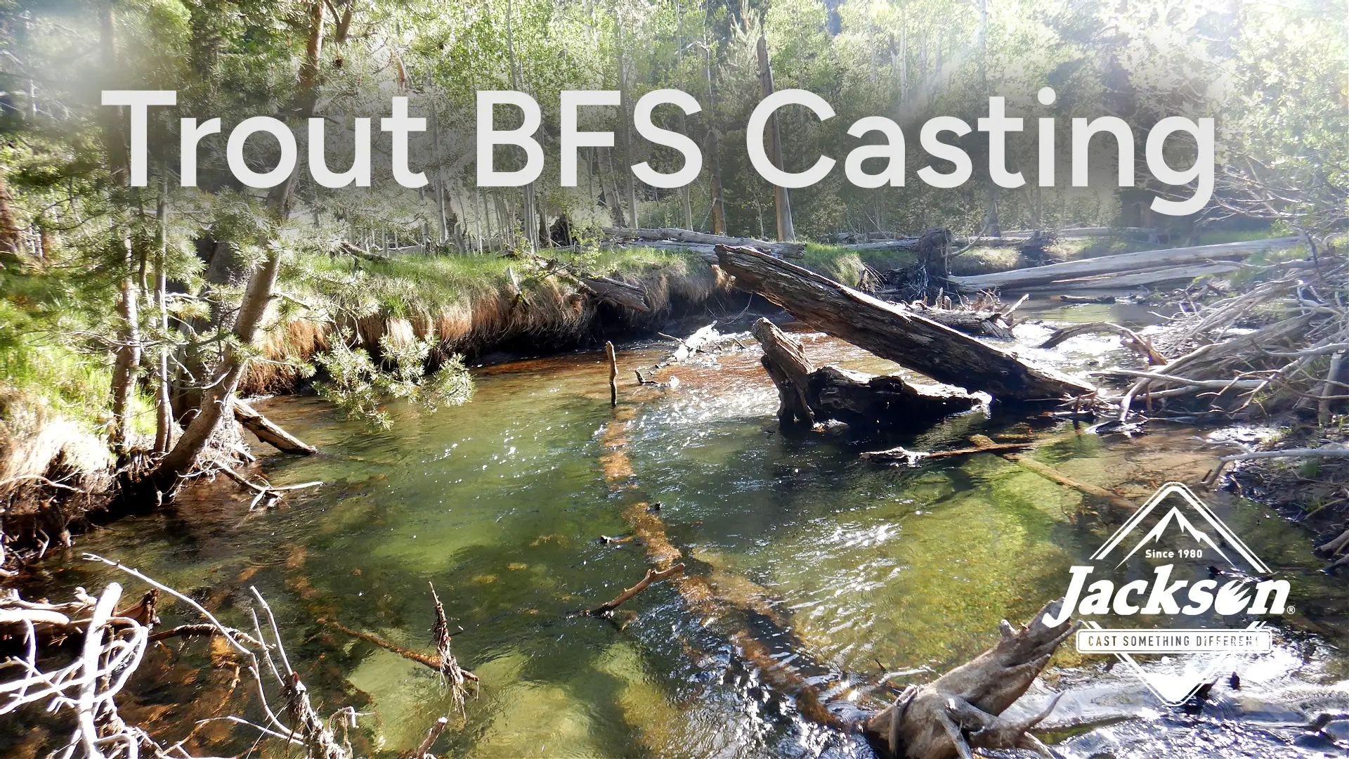 Mastering Trout BFS Casting