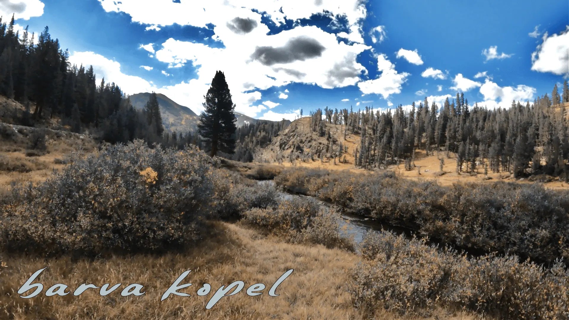 How to Select Your First Trout BFS Rod