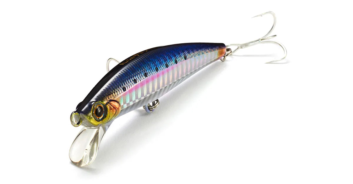 Pintail Sagoshi Tune