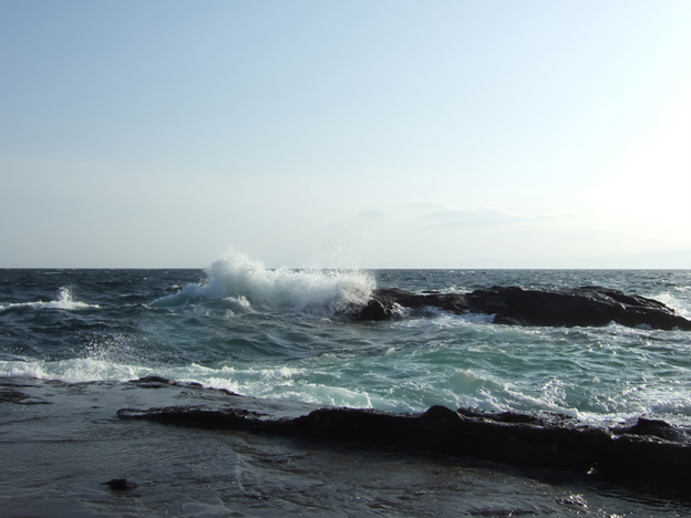 Surf Structure: Read the Waves, Find the Fish