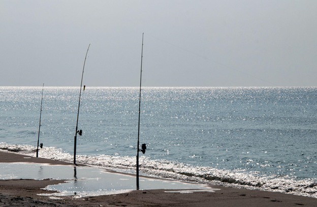 Surf Fishing Rod