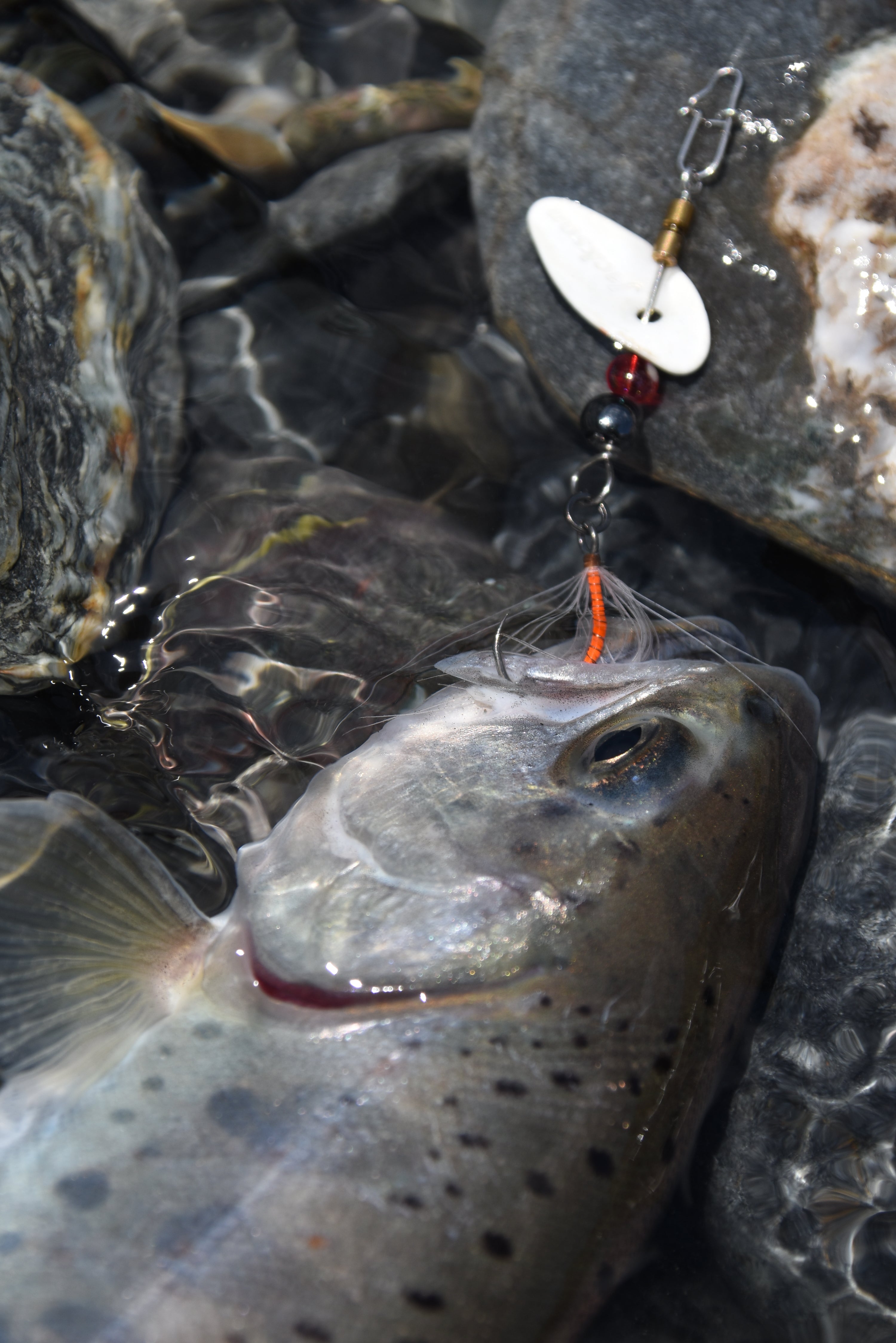 Trout Metal