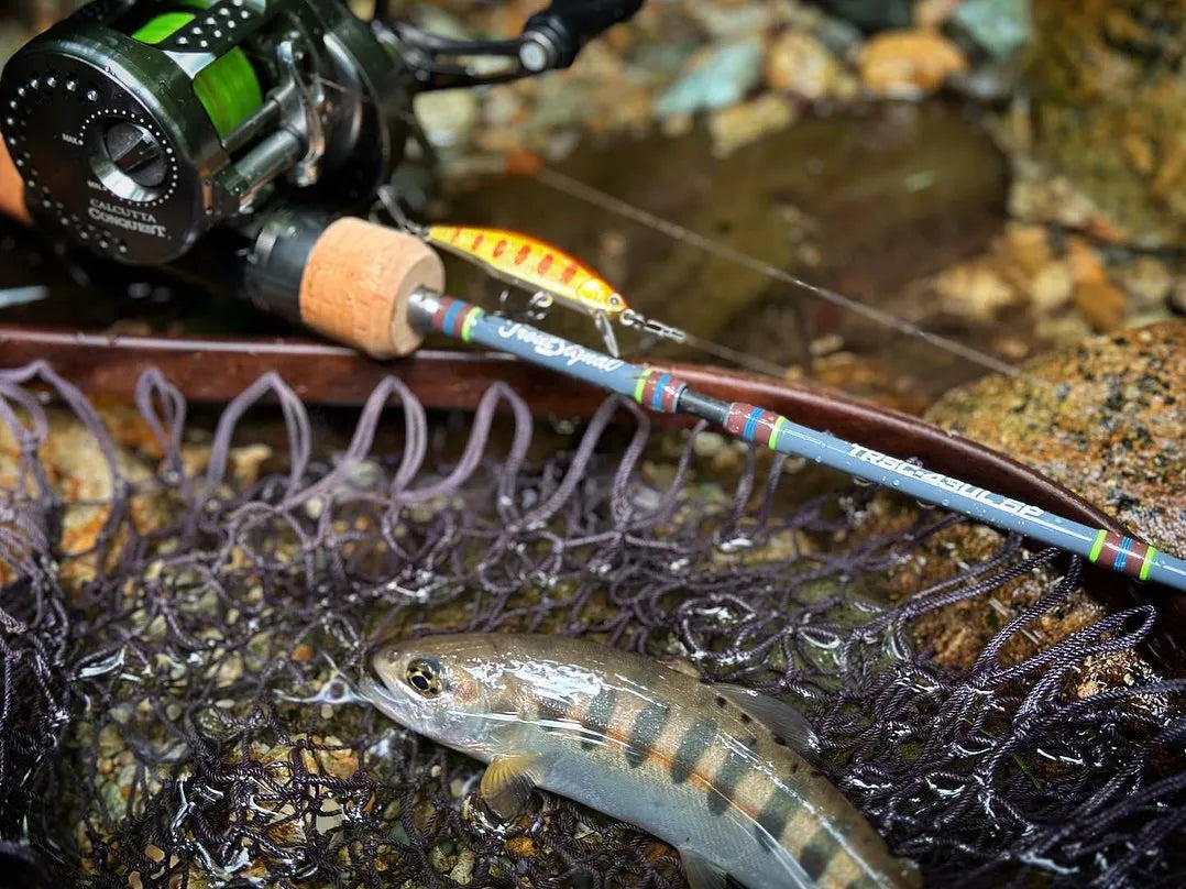 Fiser Rods Bait Finesse Rod | Freshwater Rod | Jackson USA