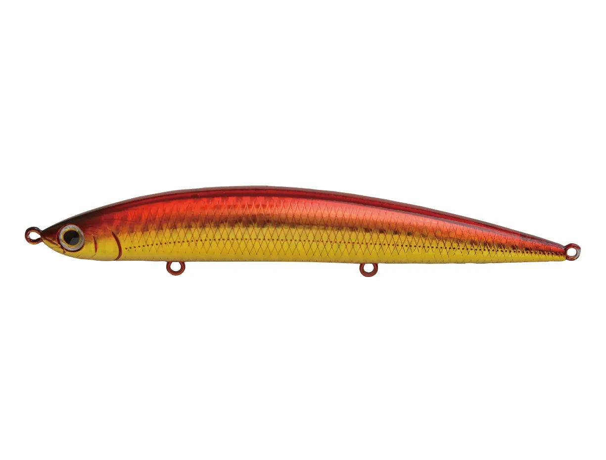 Jackson USA - Athlete 14SSP WRD