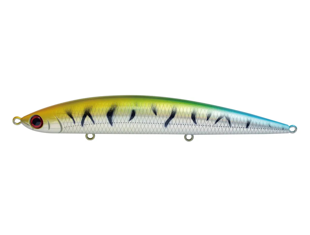 Jackson USA - Athlete 12SSP FSM