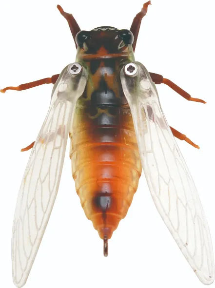 NAMAZEMI